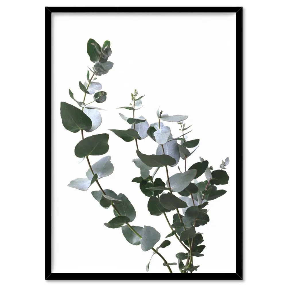 Eucalyptus Gum Leaves I  - Art Print