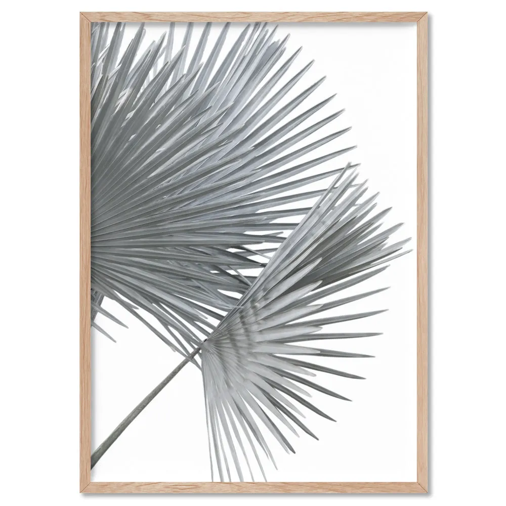 Fan Palm Fronds in Pastel III - Art Print