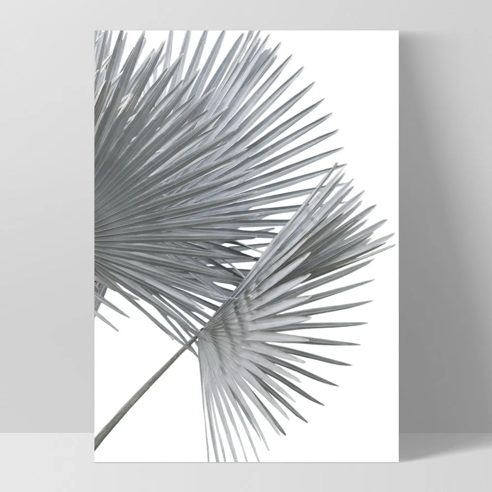 Fan Palm Fronds in Pastel III - Art Print