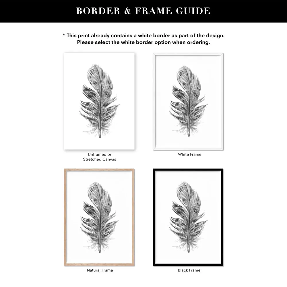 Feather Black & White IV- Art Print