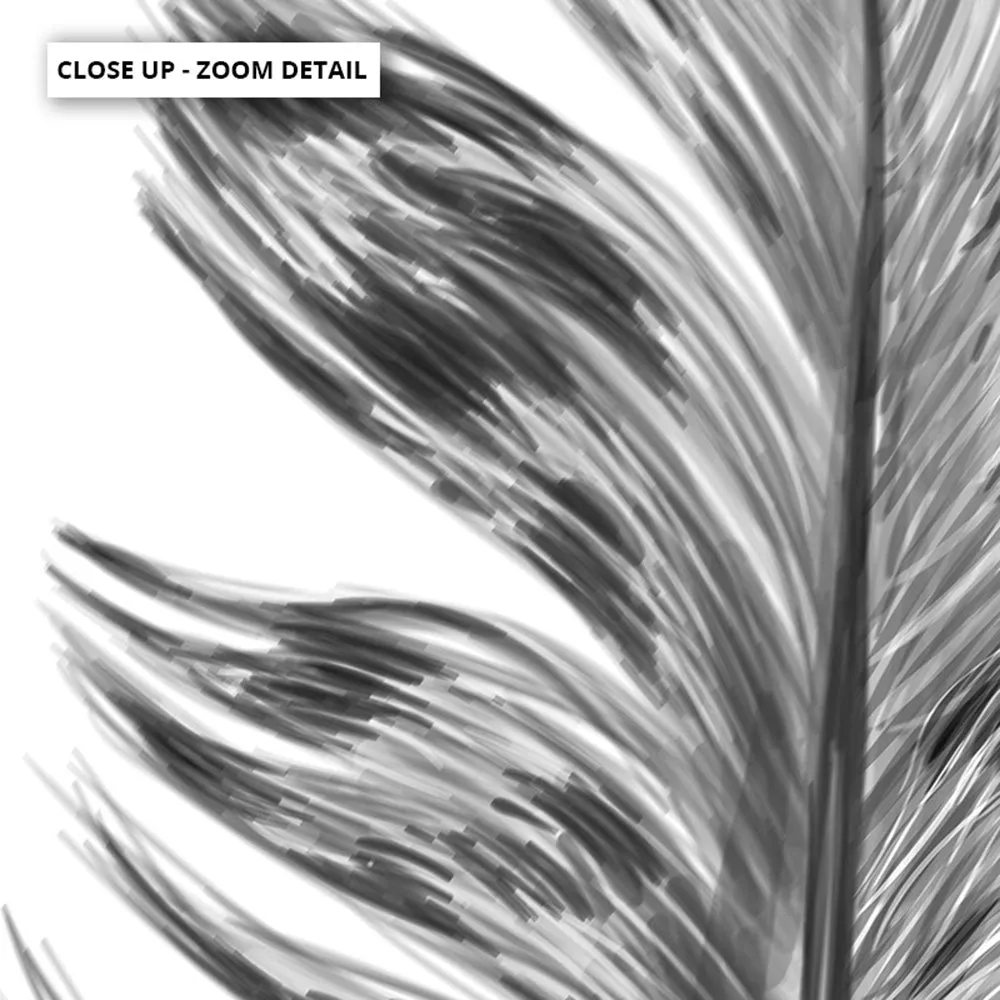 Feather Black & White IV- Art Print