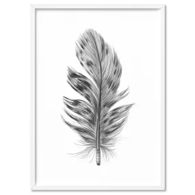 Feather Black & White IV- Art Print