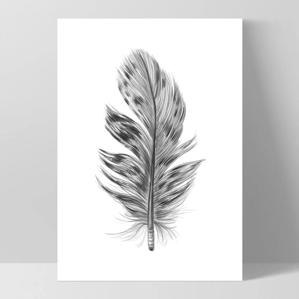 Feather Black & White IV- Art Print