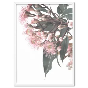 Flowering Eucalyptus Bunch I - Art Print