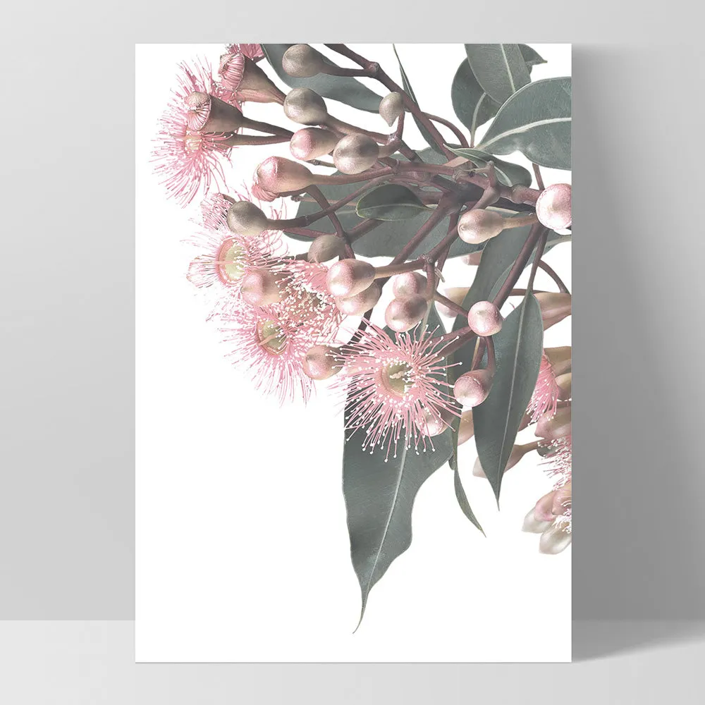 Flowering Eucalyptus Bunch I - Art Print