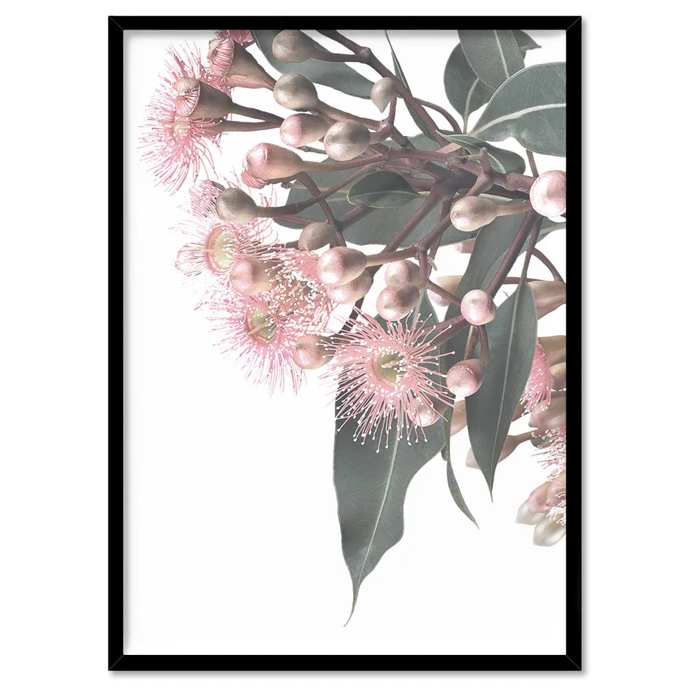 Flowering Eucalyptus Bunch I - Art Print
