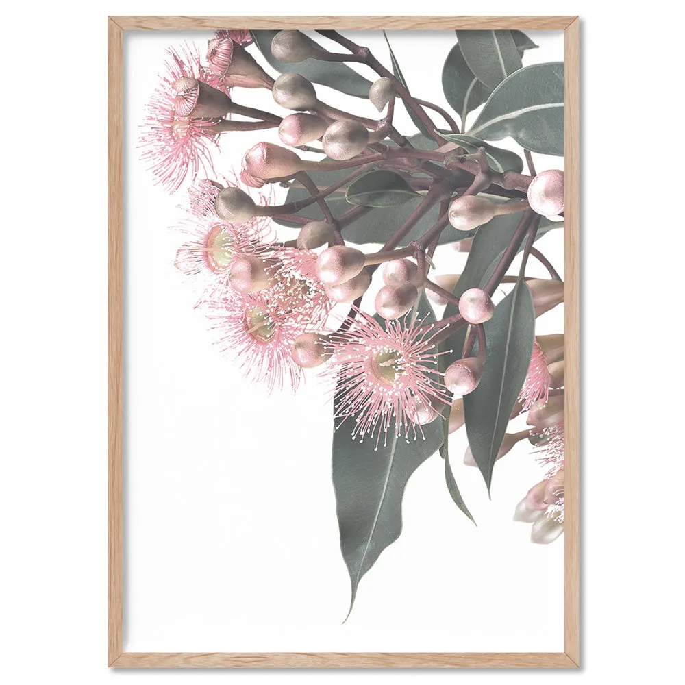 Flowering Eucalyptus Bunch I - Art Print
