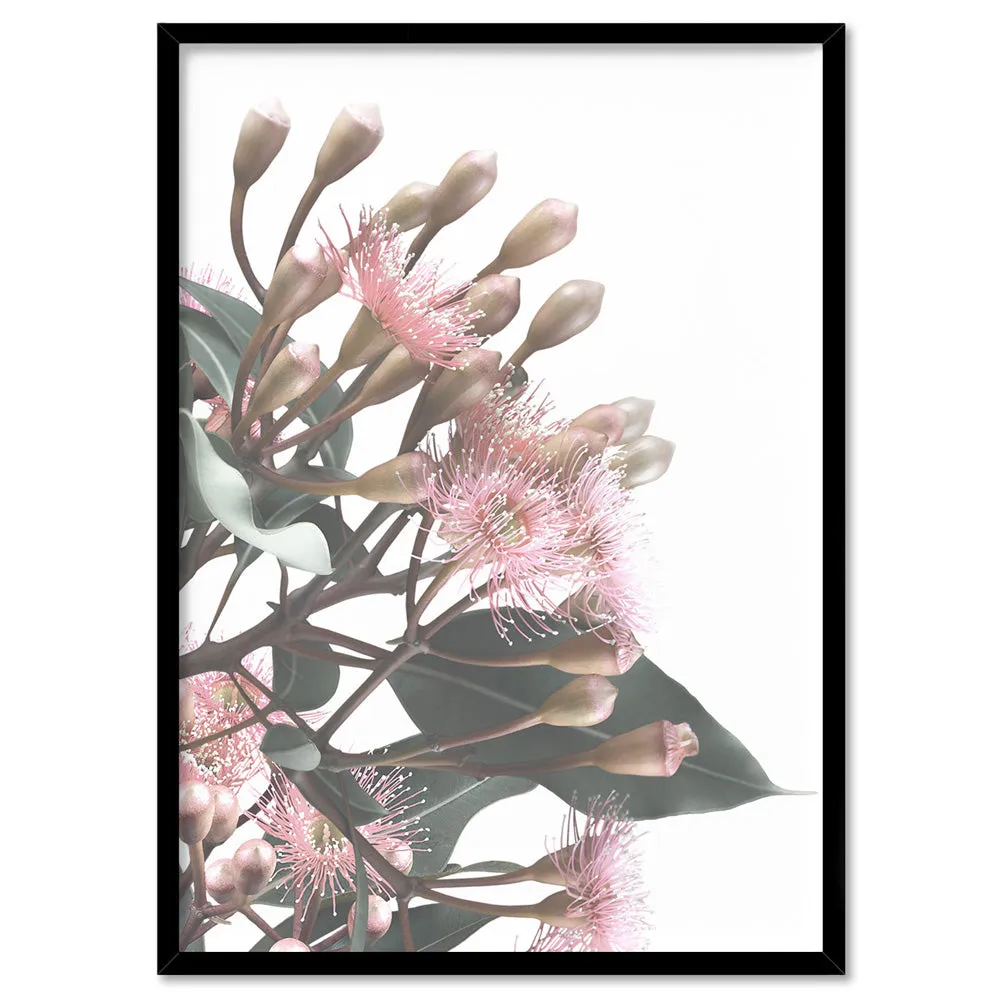 Flowering Eucalyptus Bunch II - Art Print