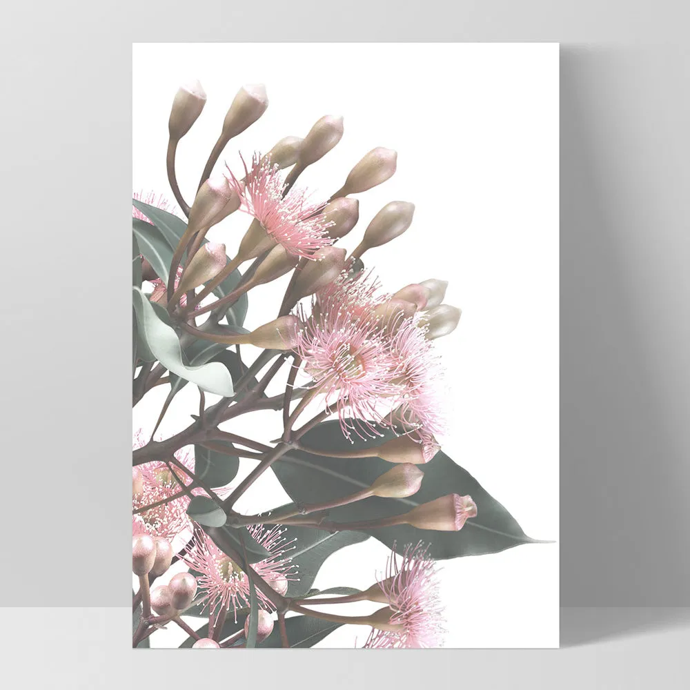 Flowering Eucalyptus Bunch II - Art Print
