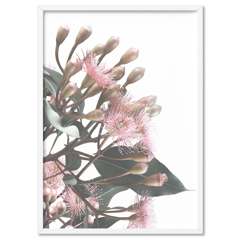 Flowering Eucalyptus Bunch II - Art Print