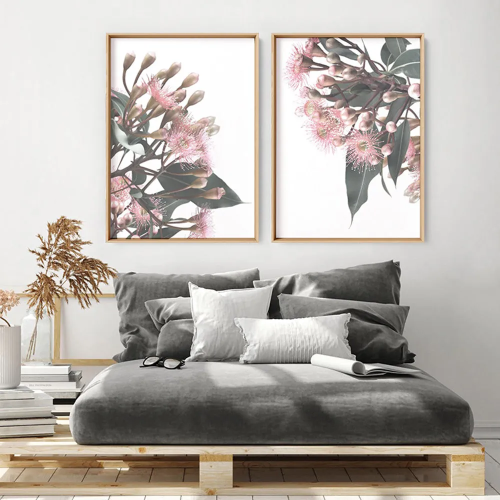 Flowering Eucalyptus Bunch II - Art Print
