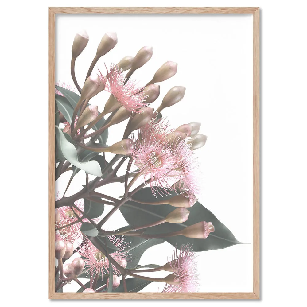 Flowering Eucalyptus Bunch II - Art Print