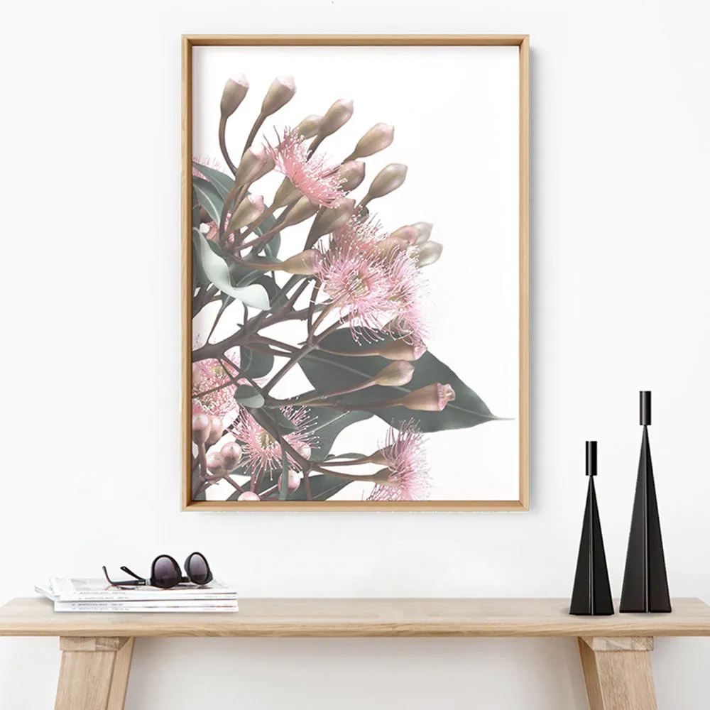 Flowering Eucalyptus Bunch II - Art Print