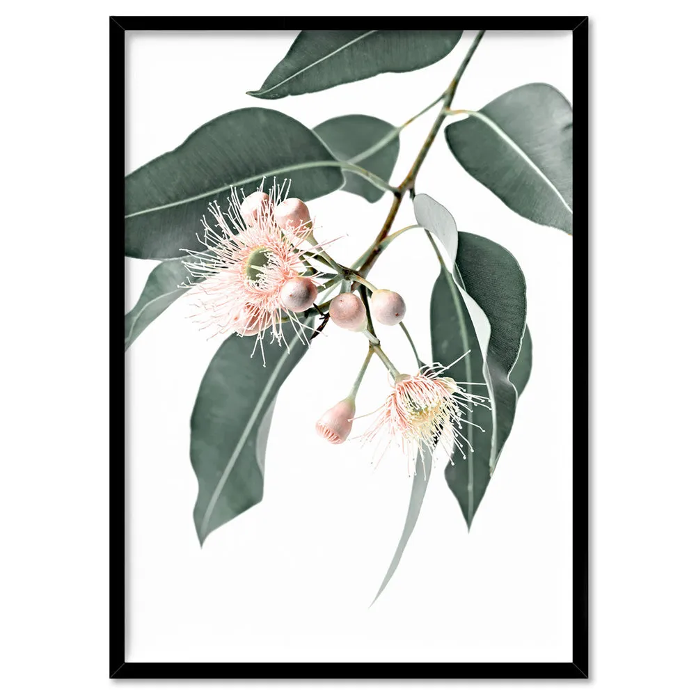 Flowering Eucalyptus in Blush - Art Print