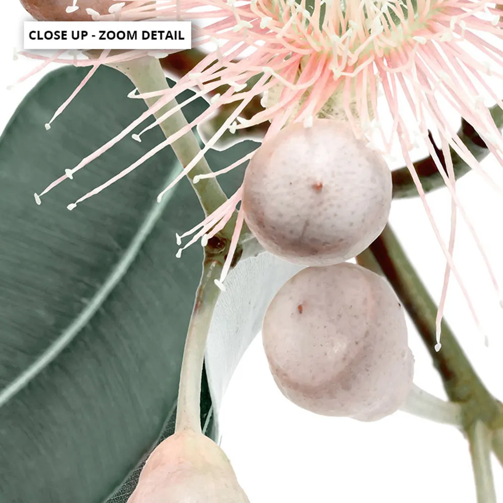 Flowering Eucalyptus in Blush II - Art Print