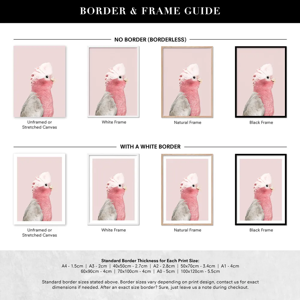 Galah Pink Cockatoo on Blush - Art Print