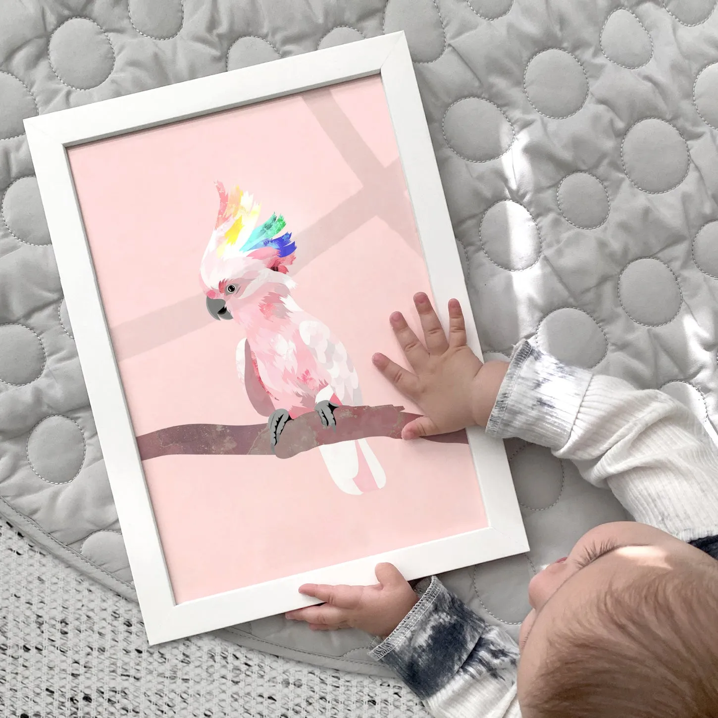 Galah Pop - Art Print