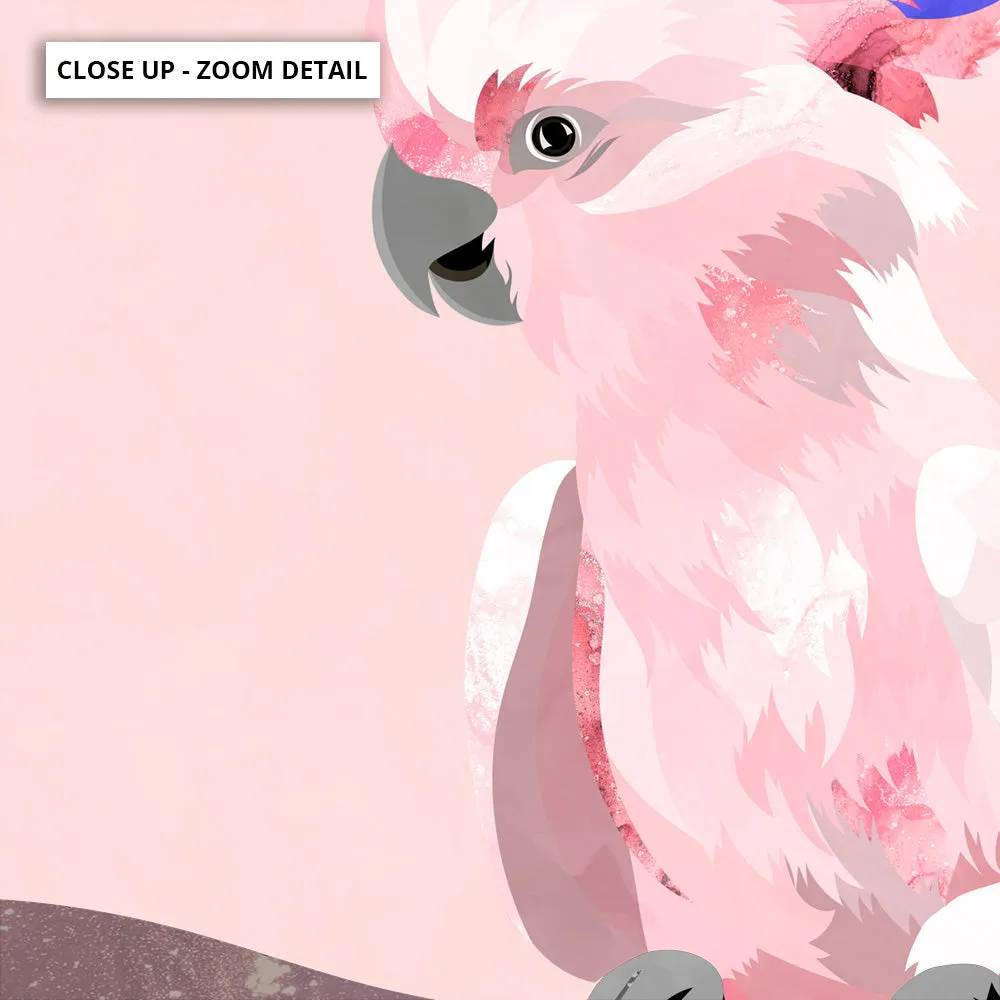 Galah Pop - Art Print