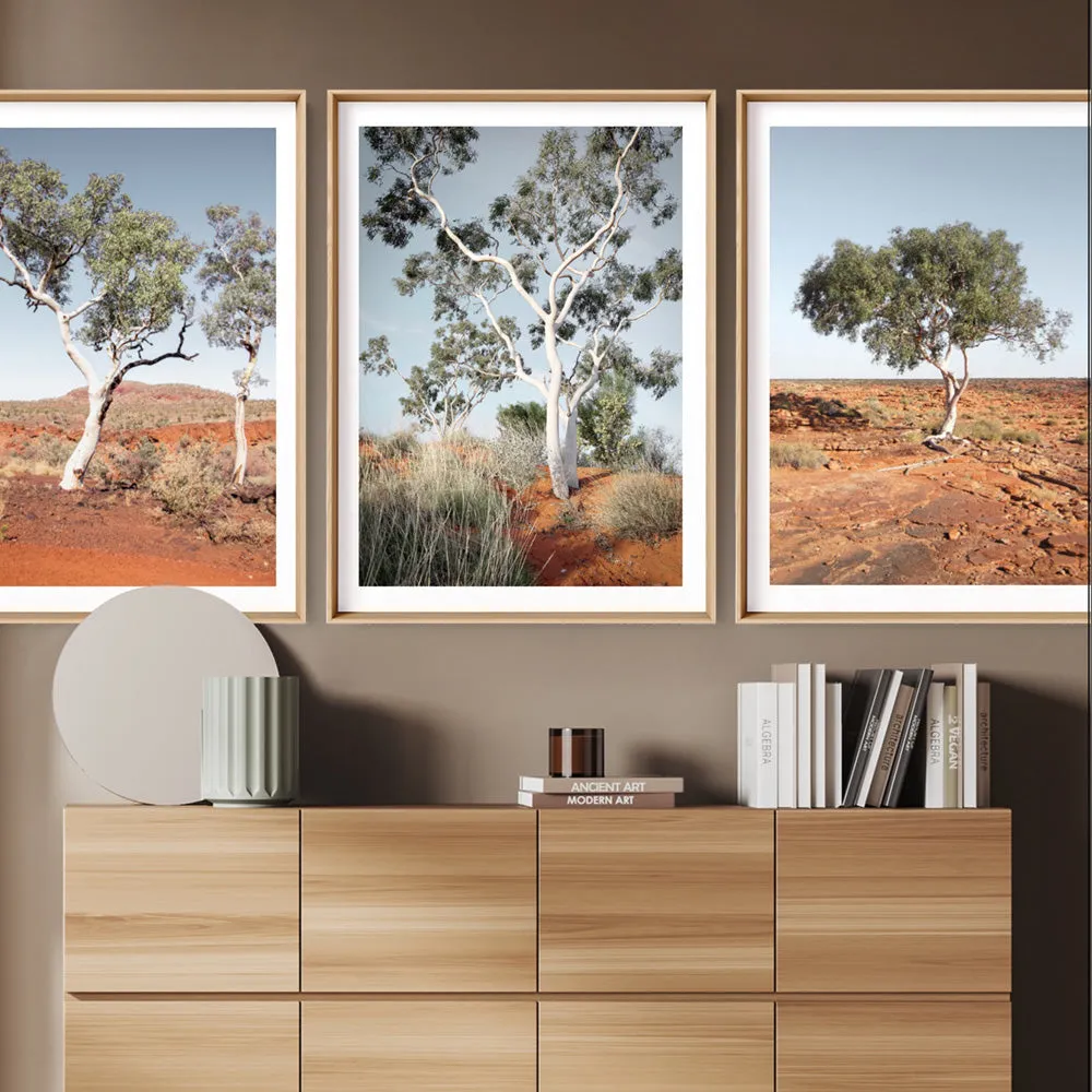 Ghost Gum on Red Earth - Art Print
