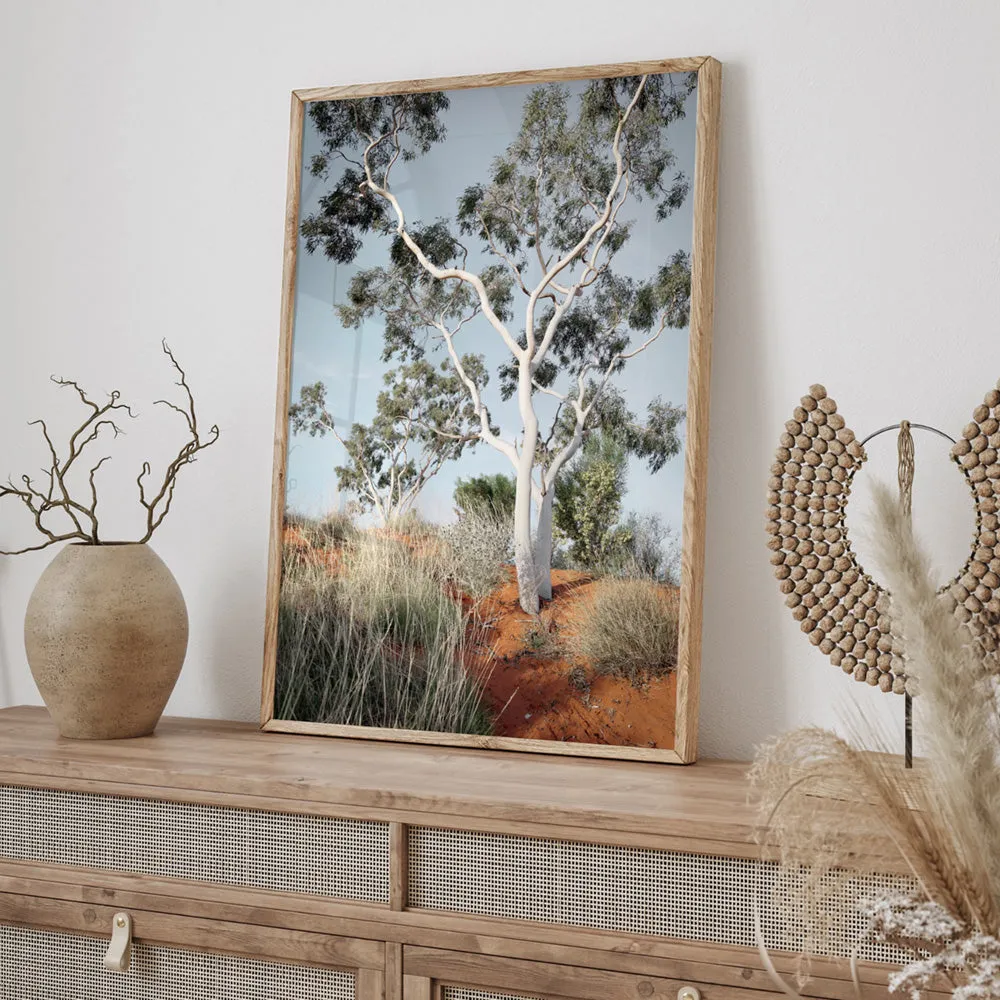 Ghost Gum on Red Earth - Art Print