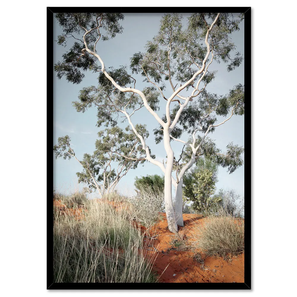 Ghost Gum on Red Earth - Art Print