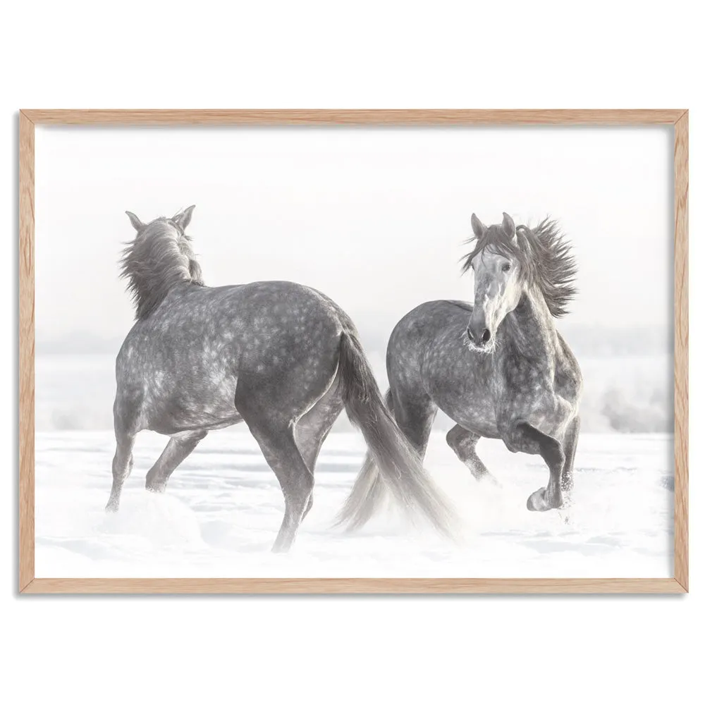 Grey Horses Dancing Duo B&W - Art Print