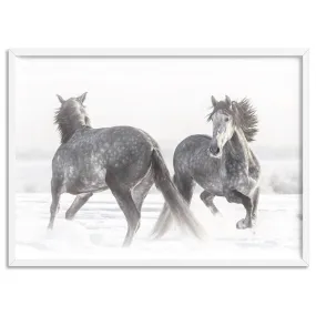Grey Horses Dancing Duo B&W - Art Print