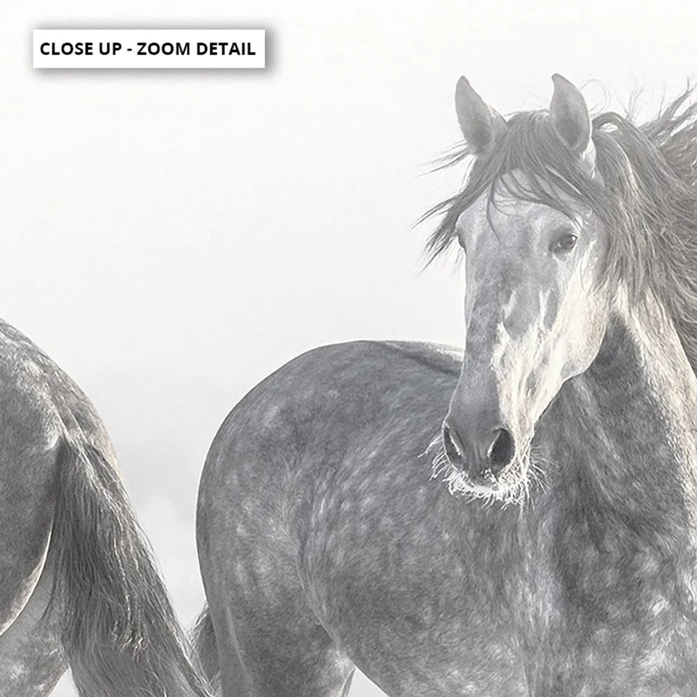 Grey Horses Dancing Duo B&W - Art Print
