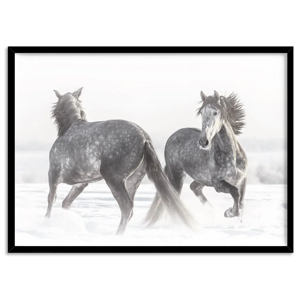 Grey Horses Dancing Duo B&W - Art Print