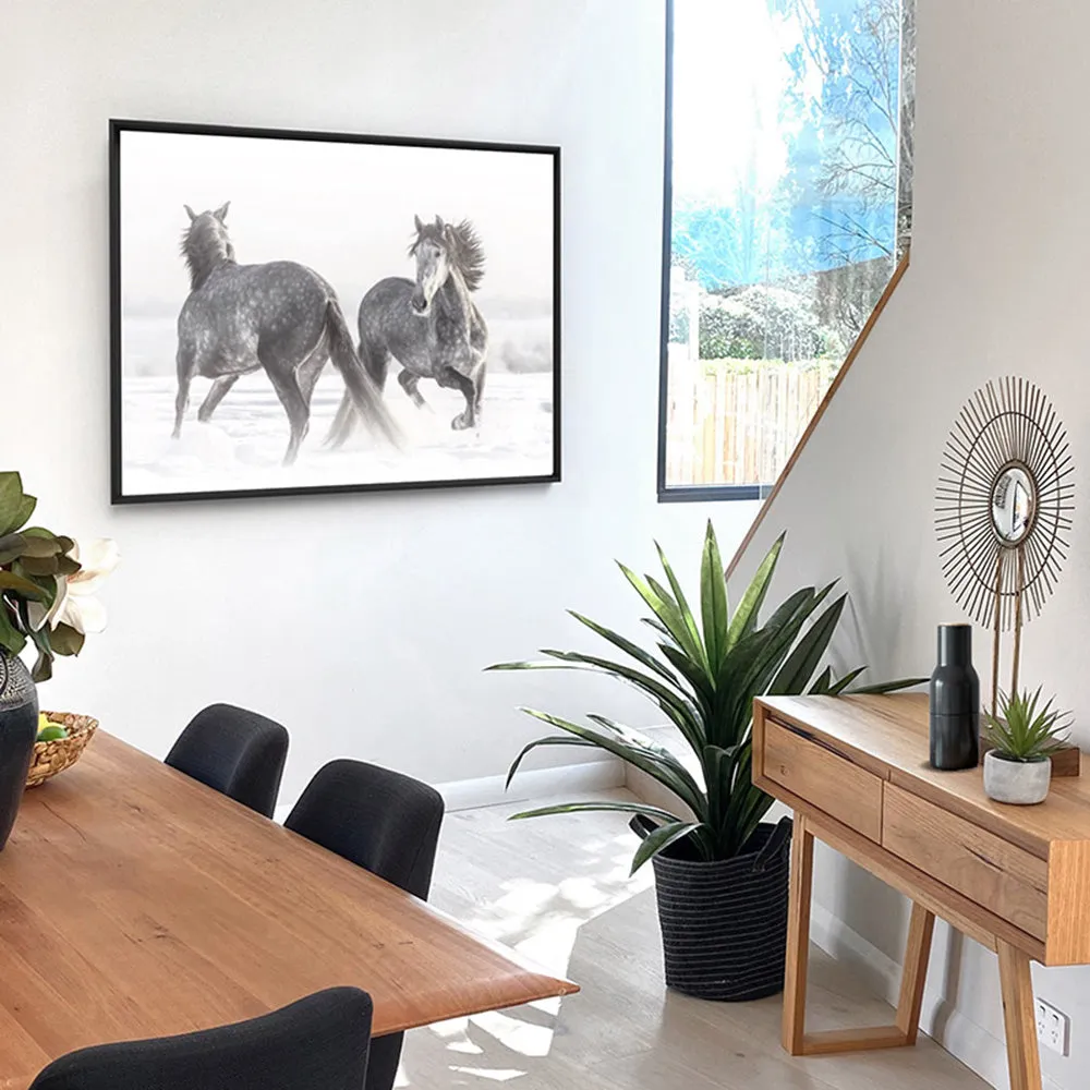 Grey Horses Dancing Duo B&W - Art Print