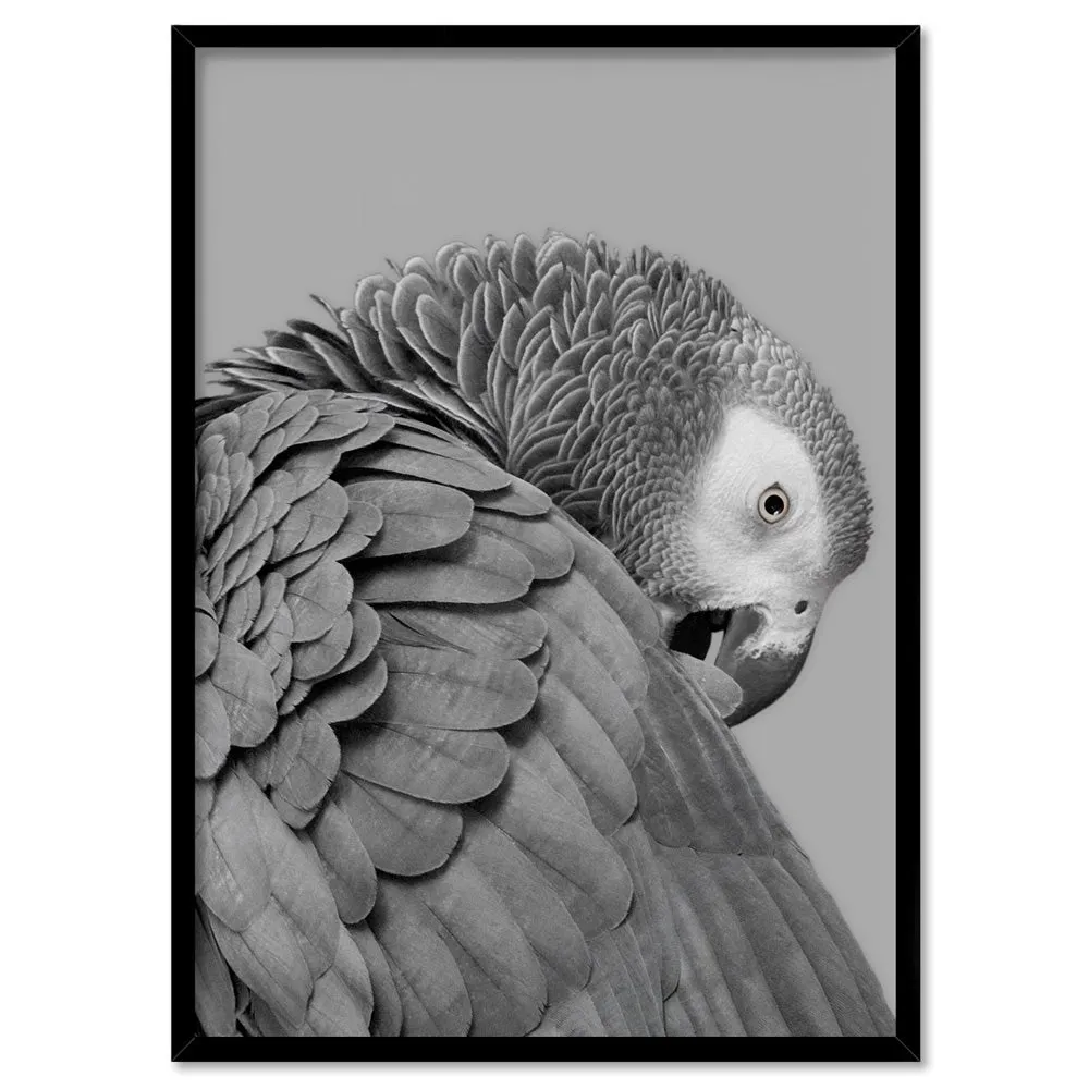 Grey Parrot - Art Print