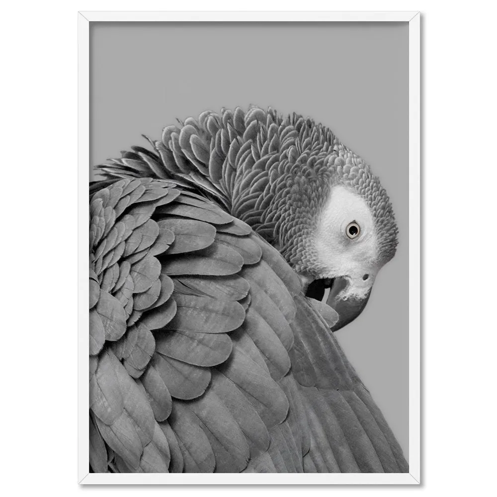 Grey Parrot - Art Print