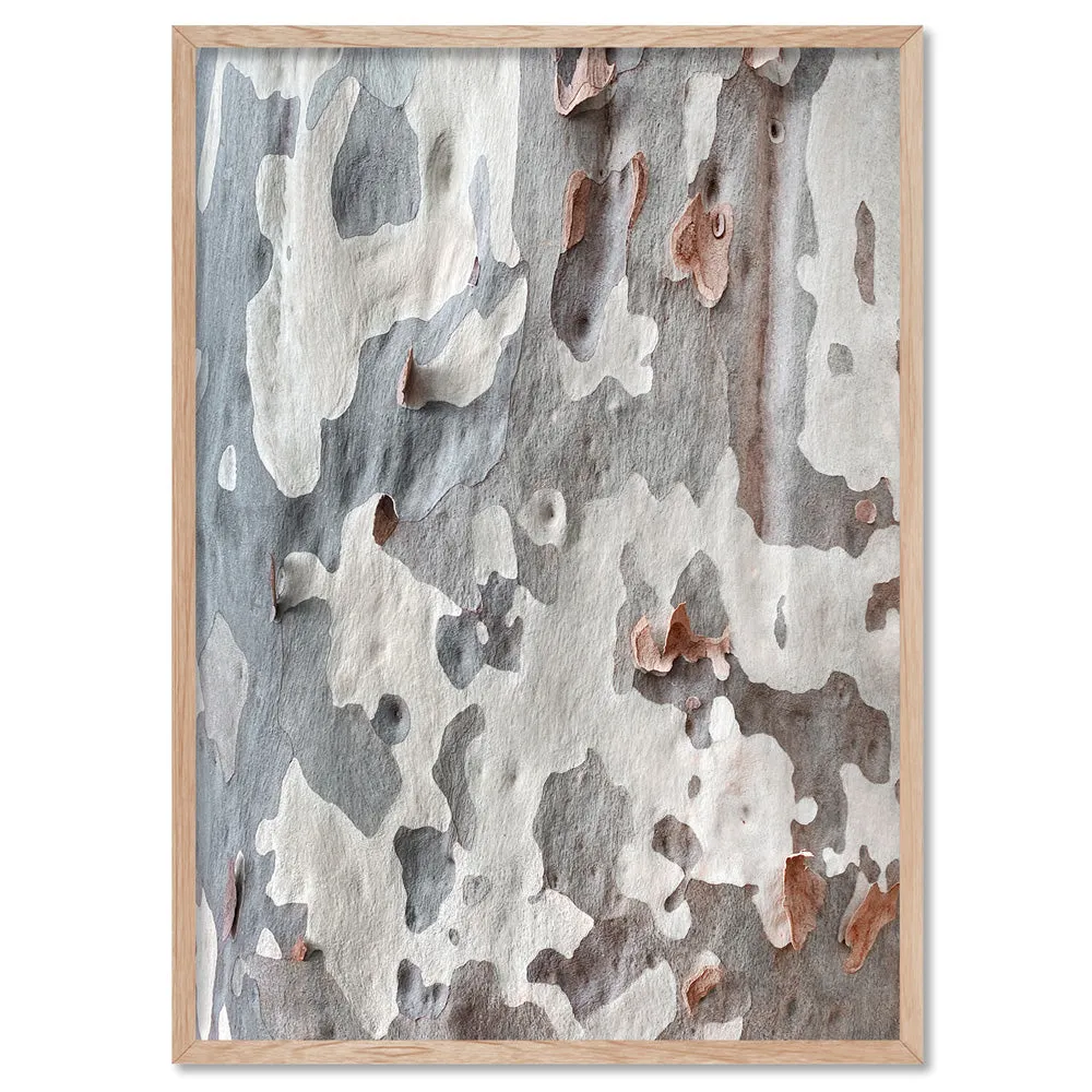 Gumtree | Blue Gum Bark II - Art Print