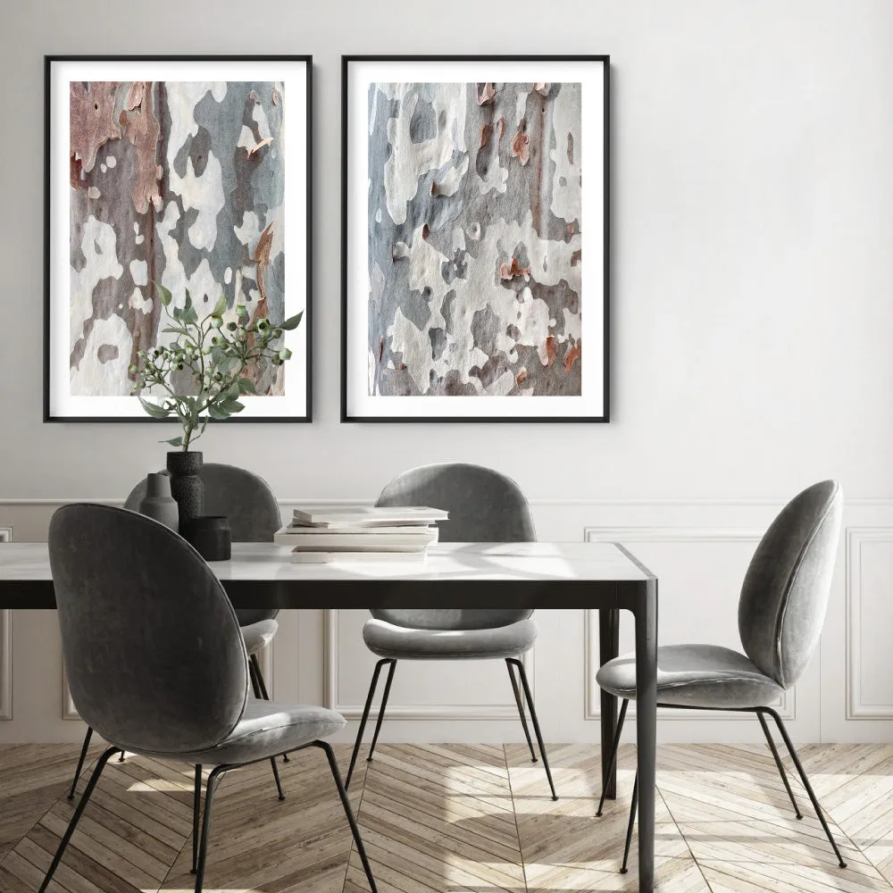 Gumtree | Blue Gum Bark II - Art Print