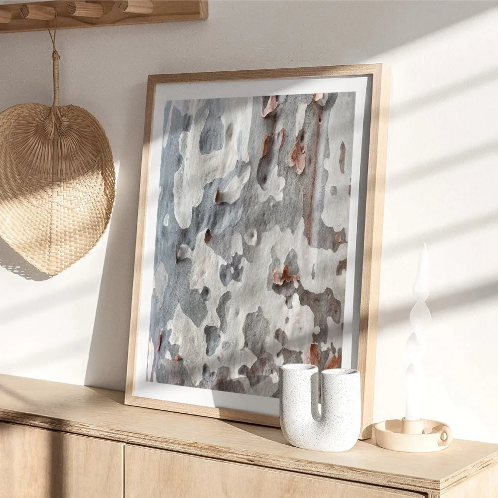 Gumtree | Blue Gum Bark II - Art Print