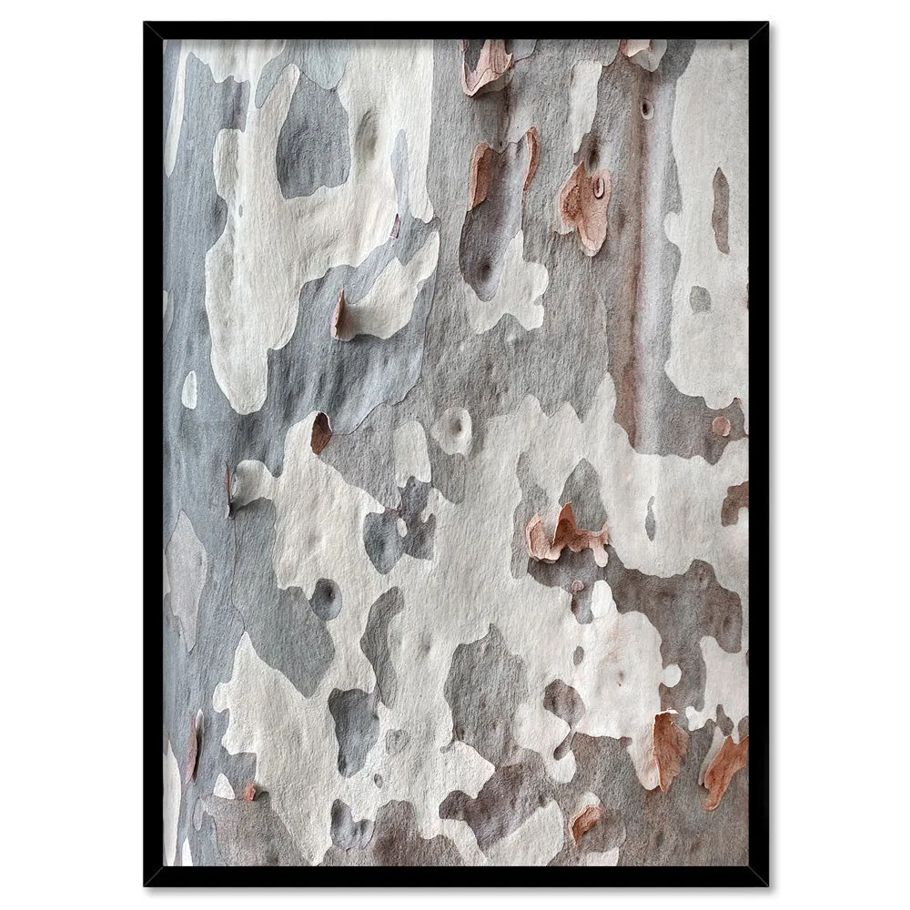 Gumtree | Blue Gum Bark II - Art Print