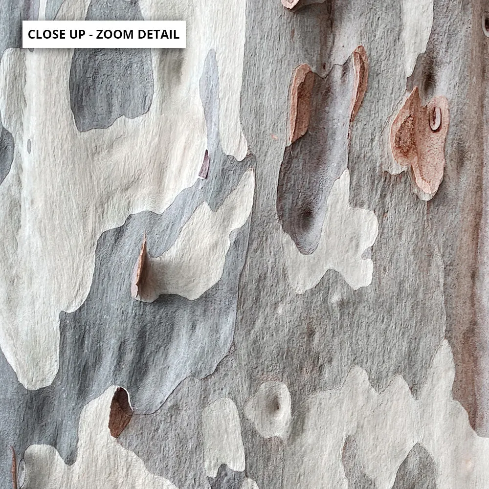 Gumtree | Blue Gum Bark II - Art Print