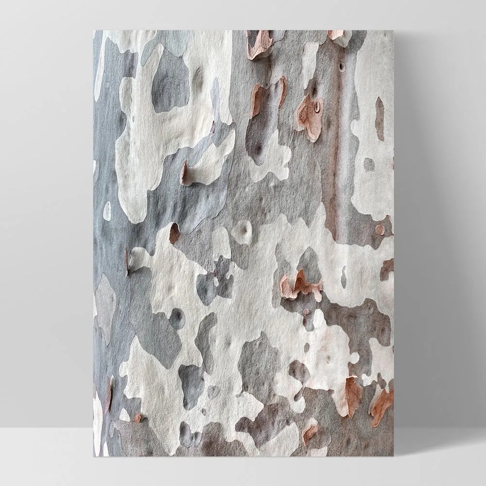 Gumtree | Blue Gum Bark II - Art Print