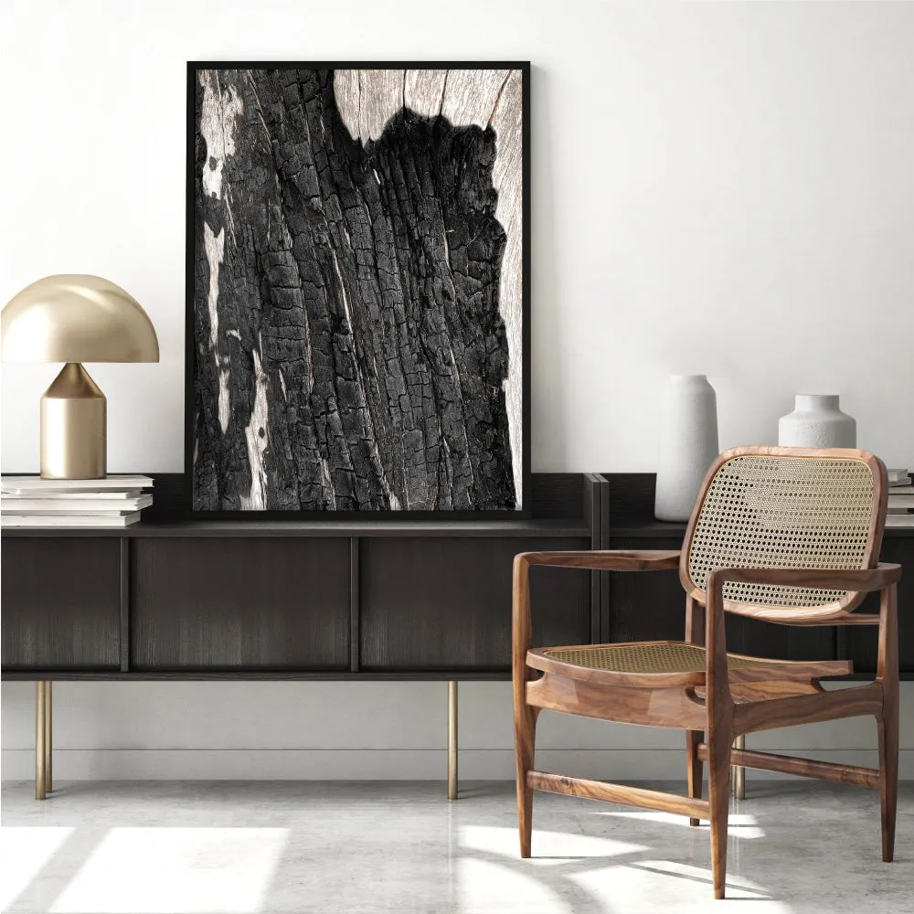 Gumtree | Charred Eucalypt I - Art Print
