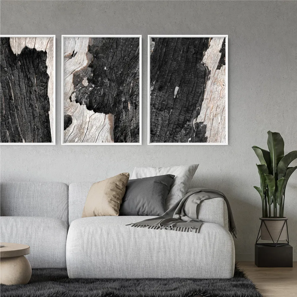Gumtree | Charred Eucalypt I - Art Print