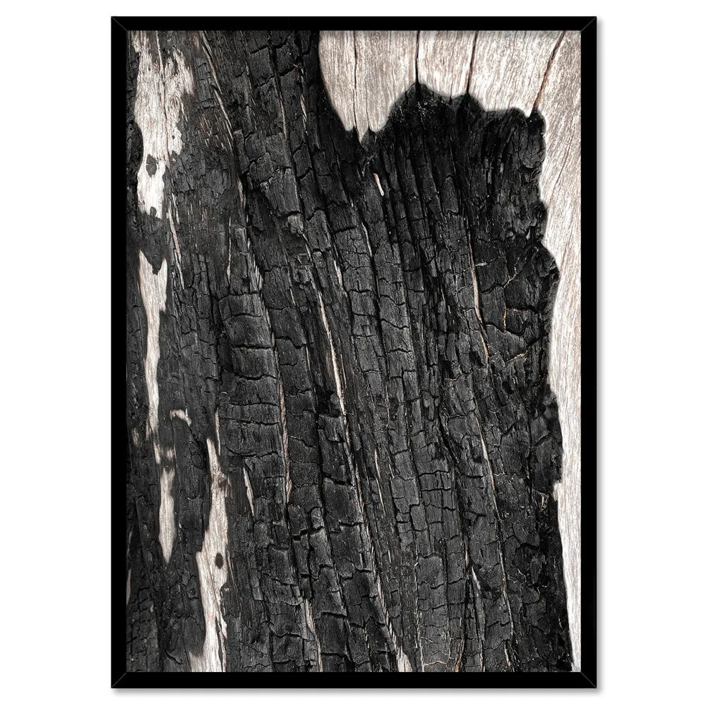 Gumtree | Charred Eucalypt I - Art Print