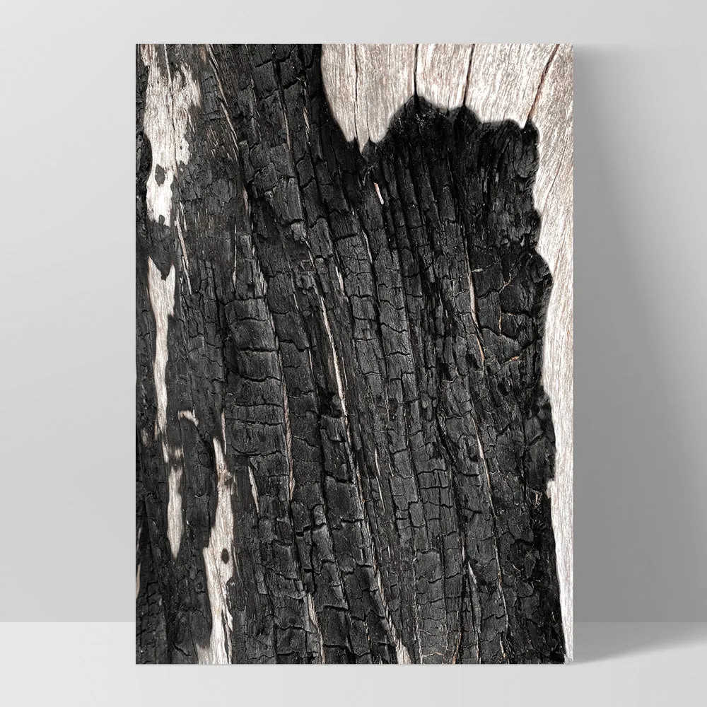 Gumtree | Charred Eucalypt I - Art Print