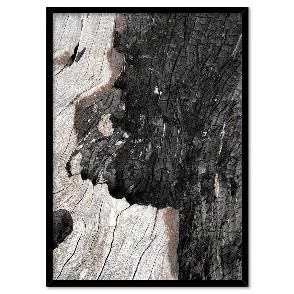 Gumtree | Charred Eucalypt II - Art Print
