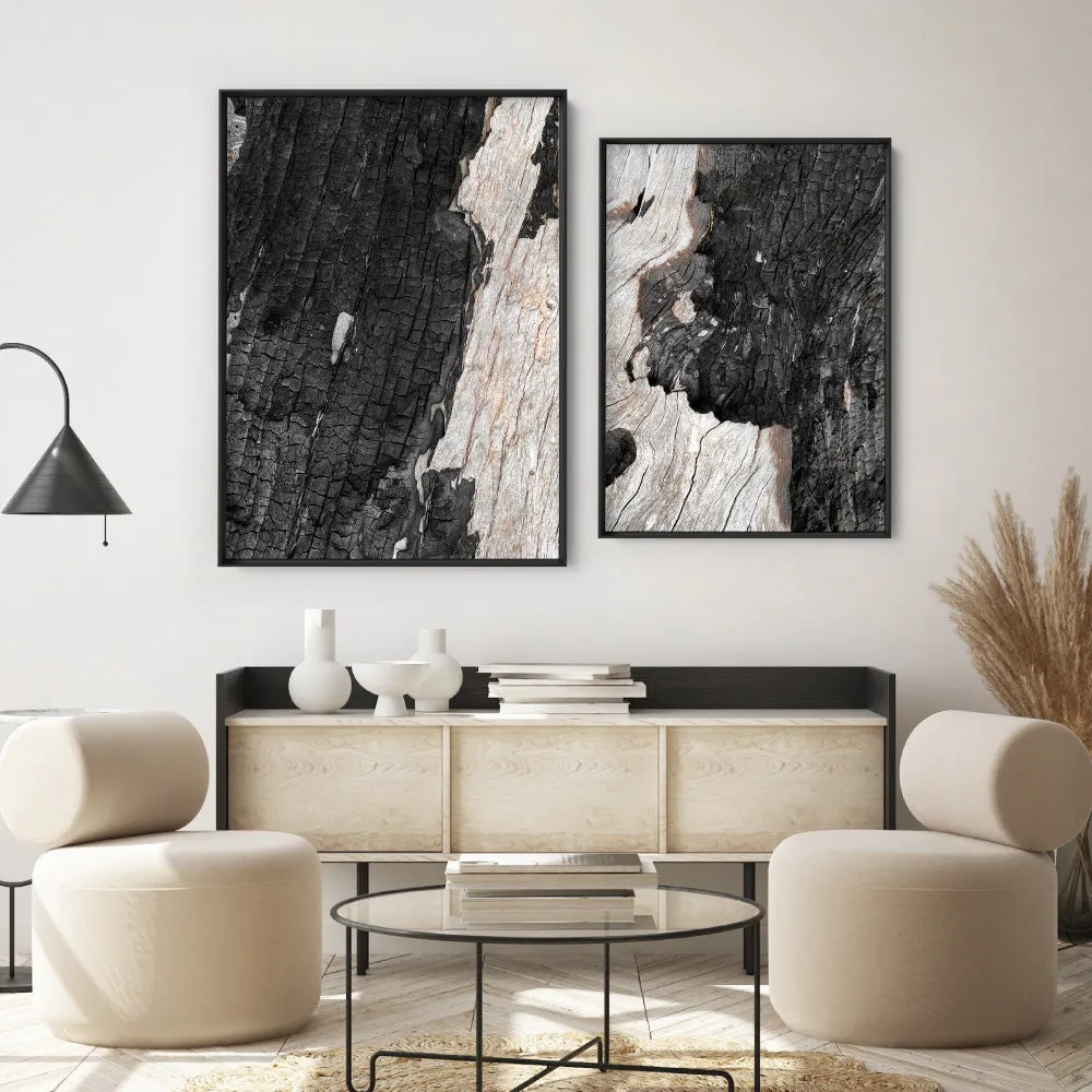 Gumtree | Charred Eucalypt II - Art Print