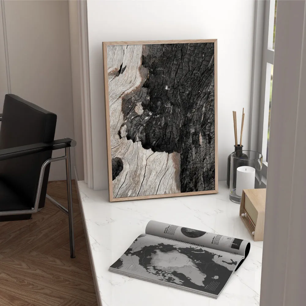 Gumtree | Charred Eucalypt II - Art Print