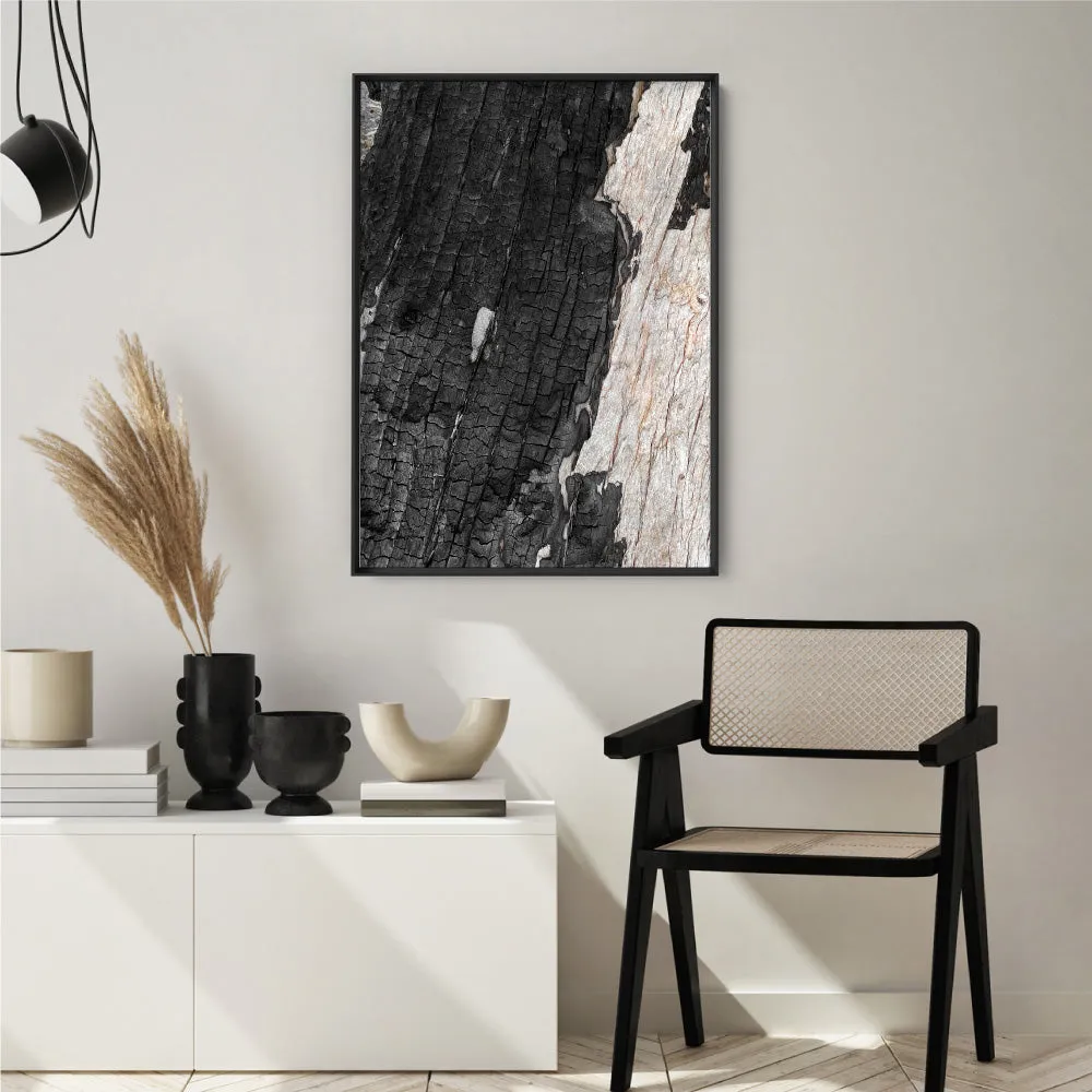 Gumtree | Charred Eucalypt III - Art Print