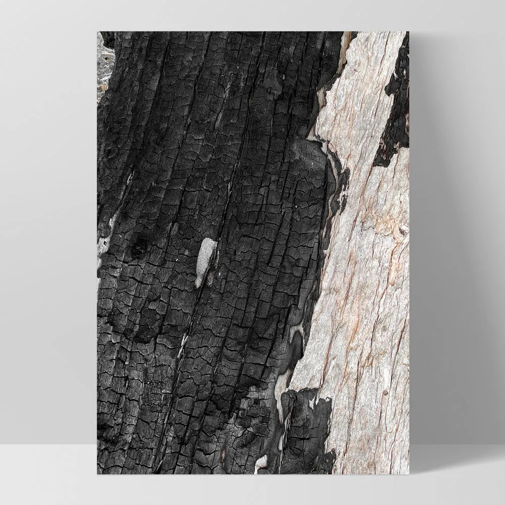 Gumtree | Charred Eucalypt III - Art Print