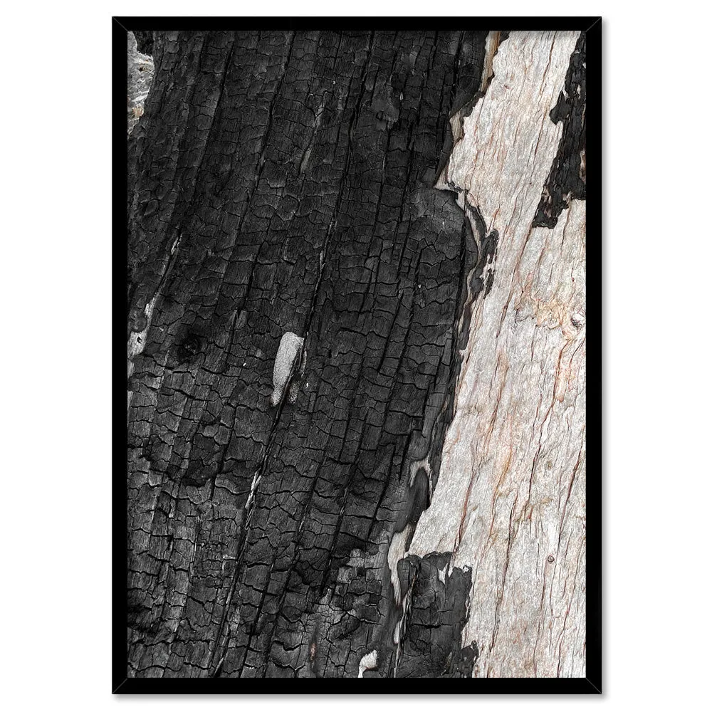 Gumtree | Charred Eucalypt III - Art Print