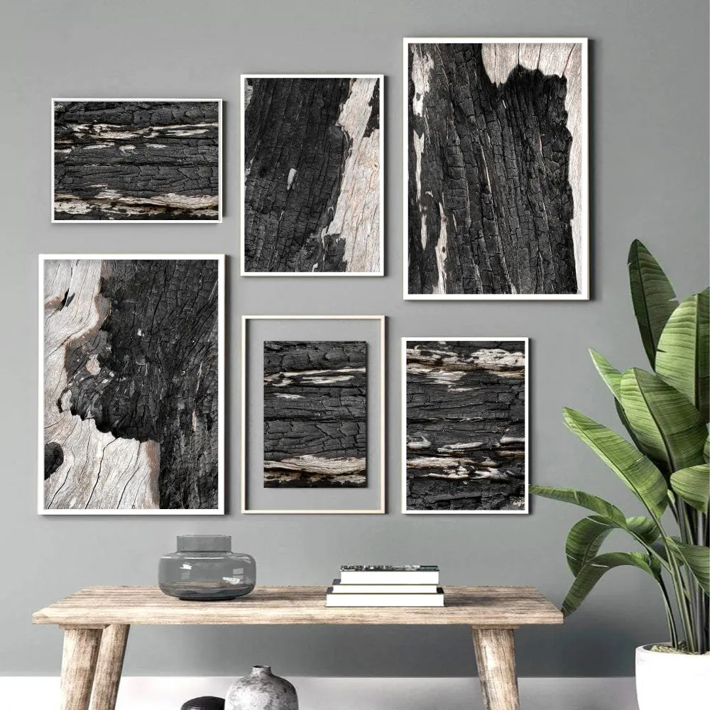 Gumtree | Charred Eucalypt III - Art Print