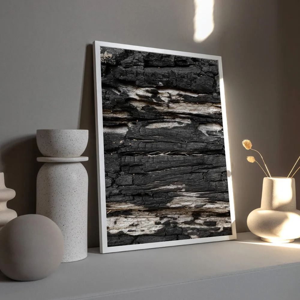 Gumtree | Charred Eucalypt V - Art Print